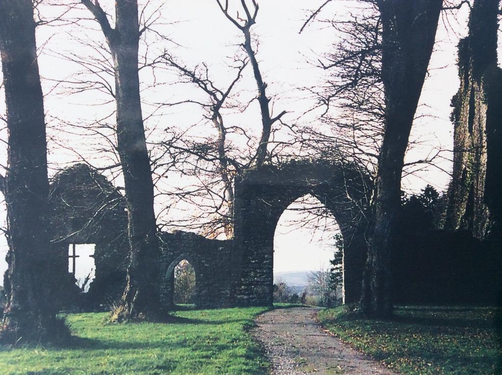 Oakdale, Templemore, E41F856 Exterior foto